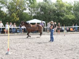 IMG_1348_web